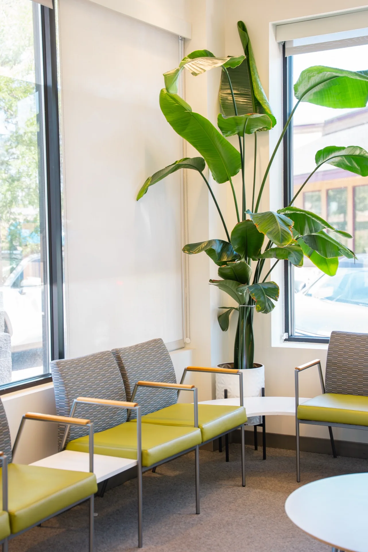 Bright Oasis Dental waiting area with tropical plants